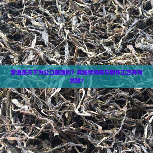 普洱茶天下为公口感如何？其独特风味与制作工艺有何关联？