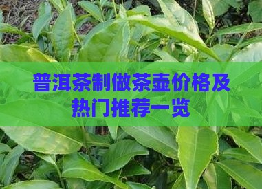 普洱茶制做茶壶价格及热门推荐一览