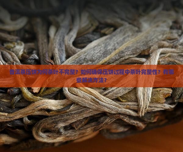 普洱茶压饼为何茶叶不完整？如何确保压饼过程中茶叶完整性？有哪些解决方法？
