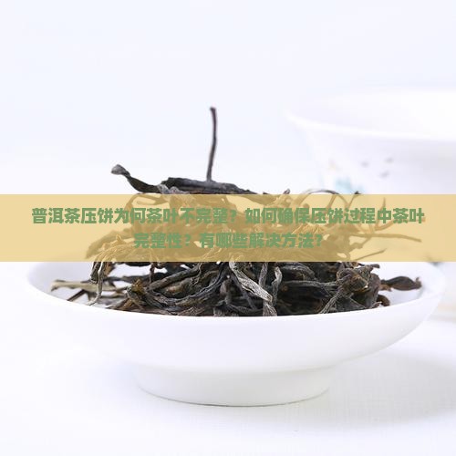 普洱茶压饼为何茶叶不完整？如何确保压饼过程中茶叶完整性？有哪些解决方法？