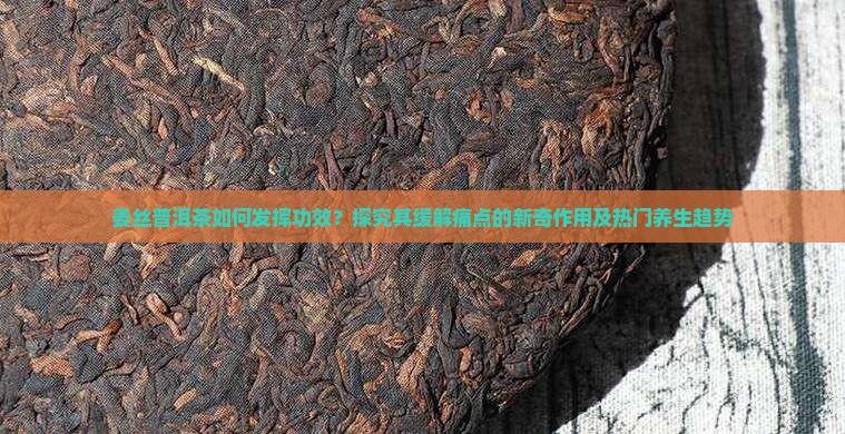姜丝普洱茶如何发挥功效？探究其缓解痛点的新奇作用及热门养生趋势