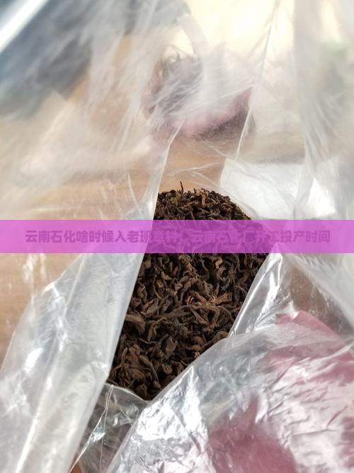云南石化啥时候入老班章村：云南石化厂开工投产时间