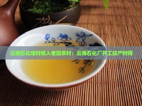 云南石化啥时候入老班章村：云南石化厂开工投产时间