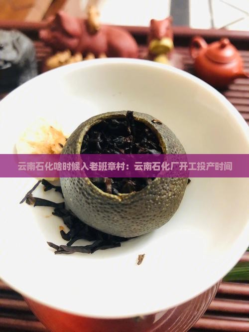 云南石化啥时候入老班章村：云南石化厂开工投产时间