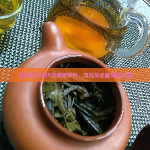 安顺老班章代理申请条件、流程及必备资质详解