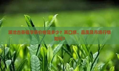 澜沧古茶福字茶价格是多少？其口感、品质及市场行情如何？