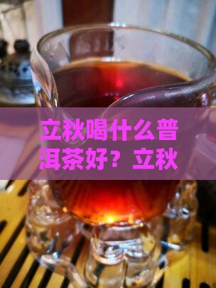 立秋喝什么普洱茶好？立秋后喝普洱茶的好处