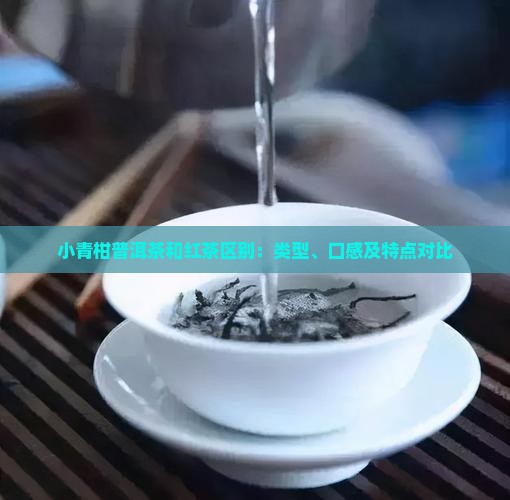 小青柑普洱茶和红茶区别：类型、口感及特点对比