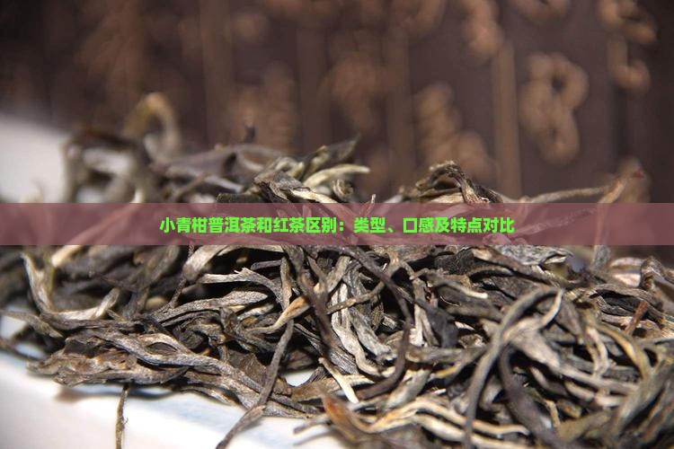 小青柑普洱茶和红茶区别：类型、口感及特点对比