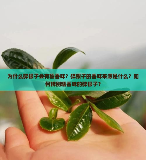 为什么碎银子会有糯香味?碎银子的香味来源是什么?如何辨别糯香味的碎银子? 为什么碎银子会有糯香味?碎银子的香味来源是什么?如何辨别糯香味的碎银子?