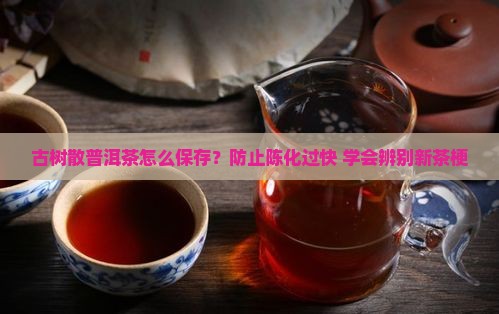 古树散普洱茶怎么保存?防止陈化过快+学会辨别新茶梗 古树散普洱茶怎么保存?防止陈化过快+学会辨别新茶梗