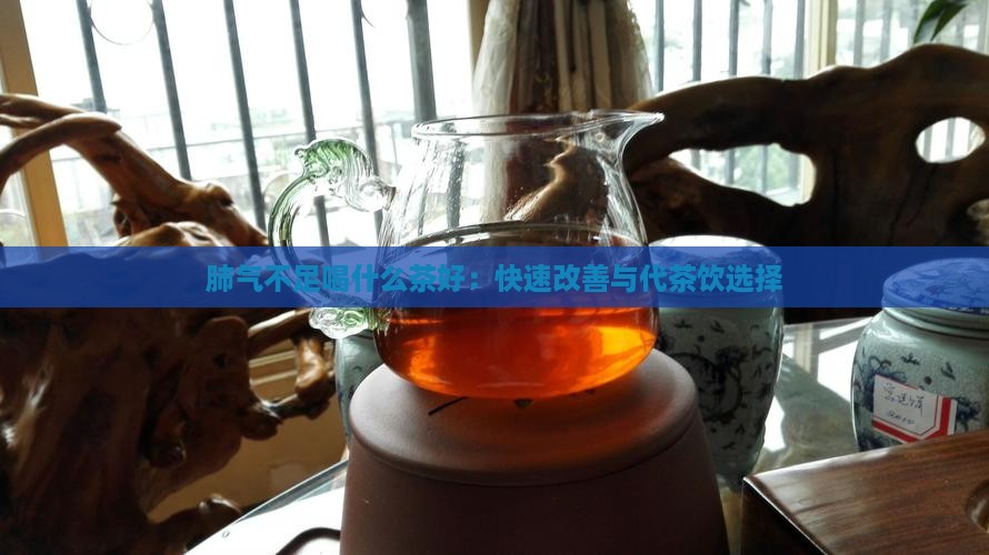 肺气不足喝什么茶好：快速改善与代茶饮选择