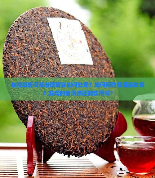 老班章普洱茶出现霉变如何处理？如何预防普洱茶发霉？发霉的普洱茶还能饮用吗？