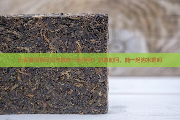 大麦普洱茶可以与陈皮一起泡吗？功效如何，能一起泡水喝吗
