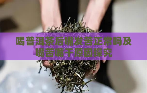 喝普洱茶后嘴发苦正常吗及嘴苦嘴干原因探究