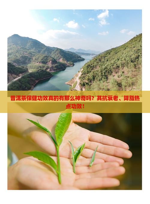 普洱茶保健功效真的有那么神奇吗？其抗衰老、降脂热点功效！