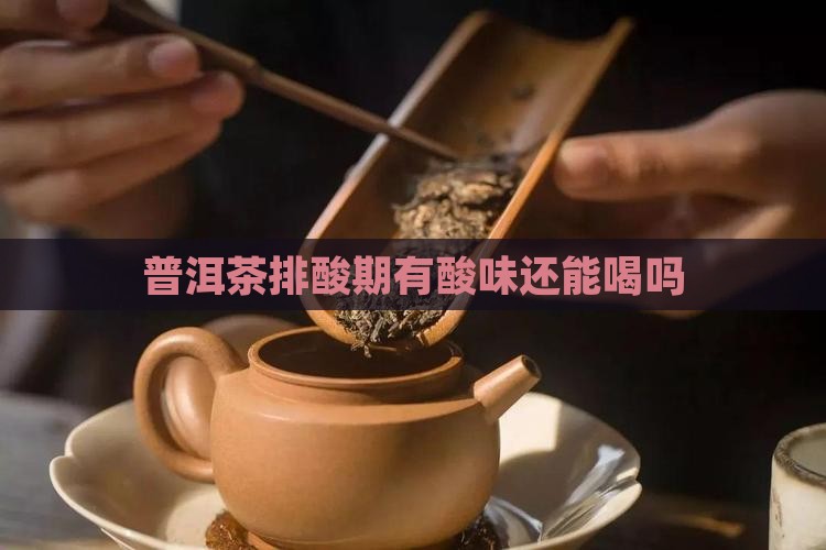 普洱茶排酸期有酸味还能喝吗