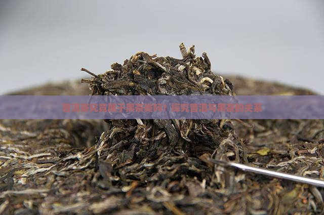 普洱茶究竟属于黑茶类吗？探究普洱与黑茶的关系