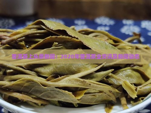 普洱茶上头条新闻：2020年普洱茶业资讯及新闻动态