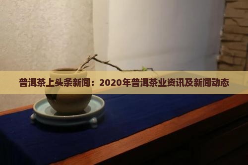 普洱茶上头条新闻：2020年普洱茶业资讯及新闻动态