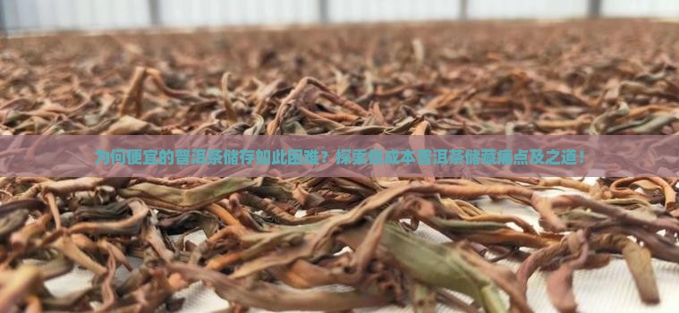 为何便宜的普洱茶储存如此困难？探索低成本普洱茶储藏痛点及之道！