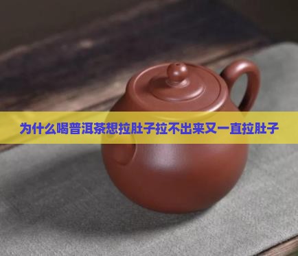 为什么喝普洱茶想拉肚子拉不出来又一直拉肚子
