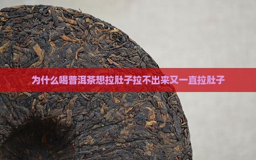 为什么喝普洱茶想拉肚子拉不出来又一直拉肚子