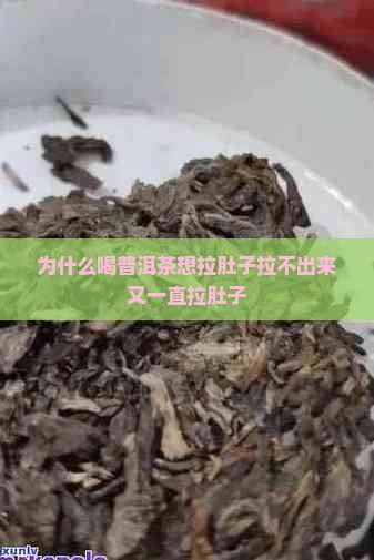 为什么喝普洱茶想拉肚子拉不出来又一直拉肚子