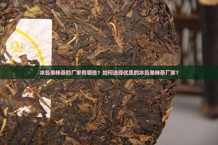 冰岛单株茶的厂家有哪些？如何选择优质的冰岛单株茶厂家？
