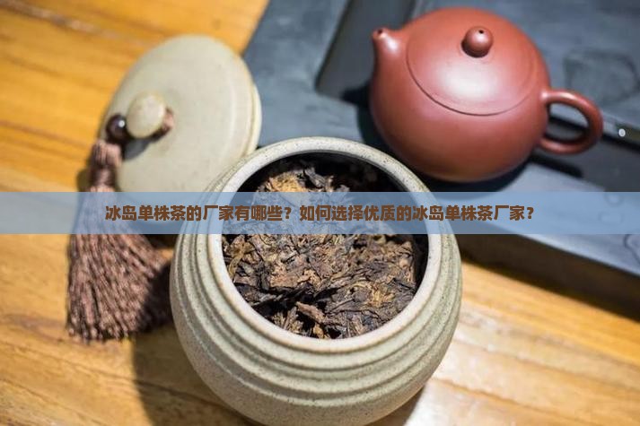冰岛单株茶的厂家有哪些？如何选择优质的冰岛单株茶厂家？