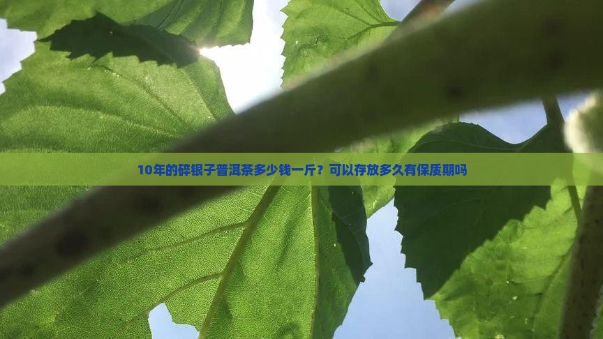 10年的碎银子普洱茶多少钱一斤？可以存放多久有保质期吗