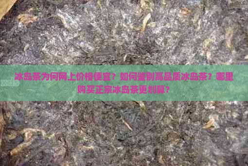 冰岛茶为何网上价格便宜？如何鉴别高品质冰岛茶？哪里购买正宗冰岛茶更划算？