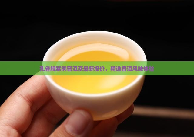 孔雀牌紫鹃普洱茶最新报价，精选普洱风味体验