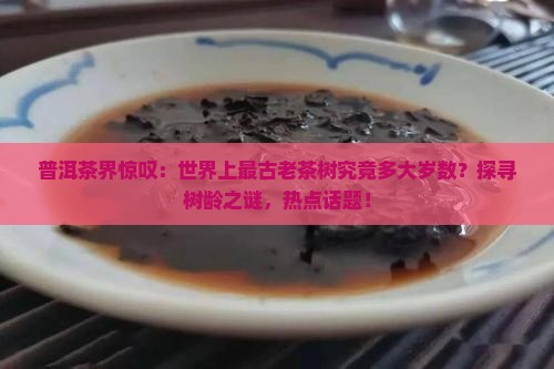 普洱茶界惊叹：世界上最古老茶树究竟多大岁数？探寻树龄之谜，热点话题！