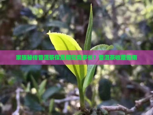 家族秘传普洱茶保质期究竟多长？普洱茶收藏指南