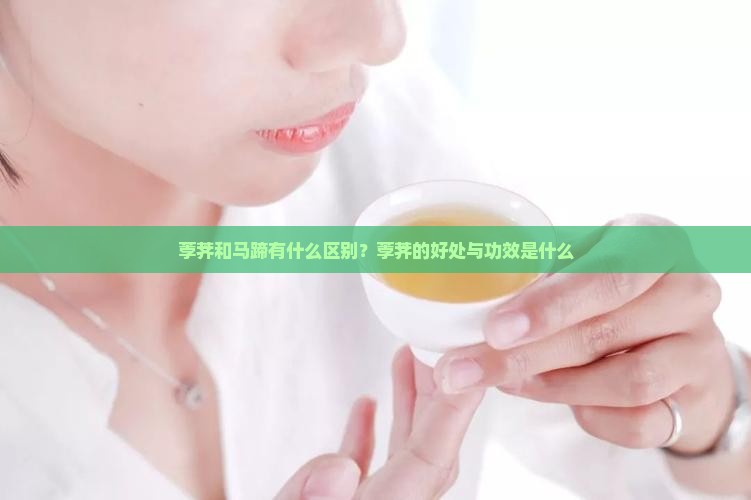 荸荠和马蹄有什么区别？荸荠的好处与功效是什么