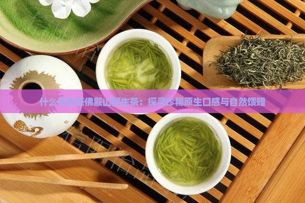 什么样的茶佛殿山野生茶：探寻珍稀原生口感与自然馈赠