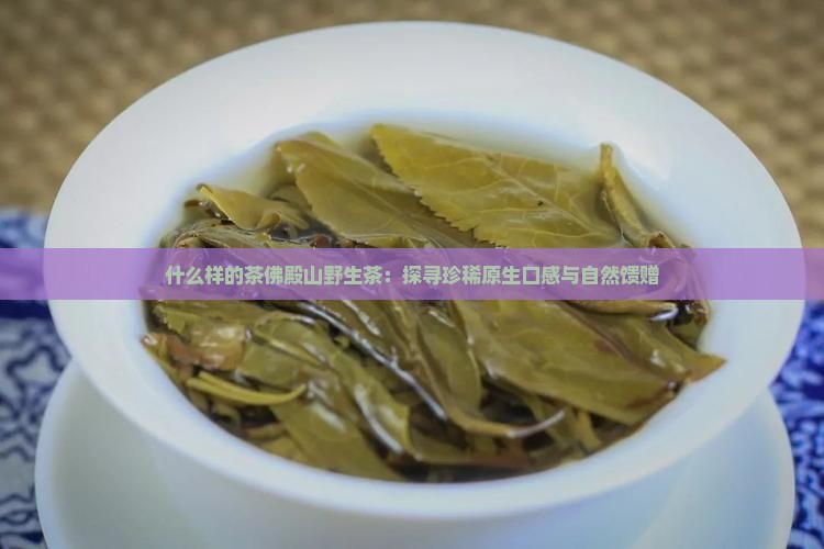 什么样的茶佛殿山野生茶：探寻珍稀原生口感与自然馈赠
