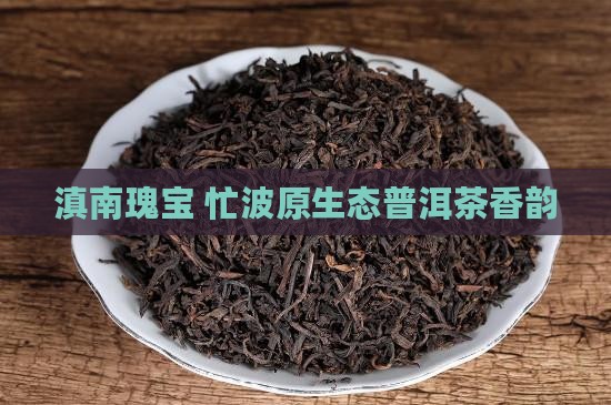 滇南瑰宝 忙波原生态普洱茶香韵