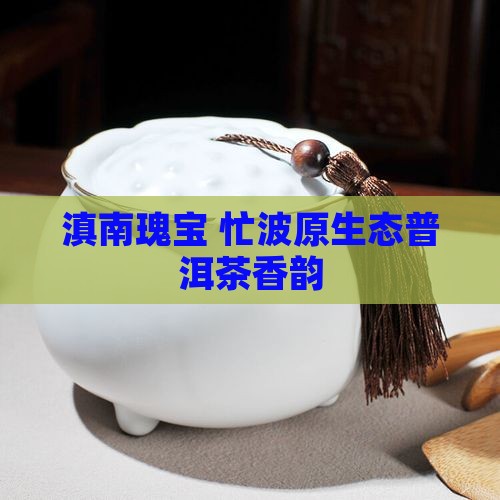 滇南瑰宝 忙波原生态普洱茶香韵