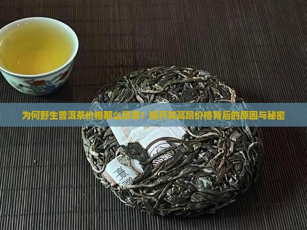 为何野生普洱茶价格那么昂贵？揭开其高昂价格背后的原因与秘密