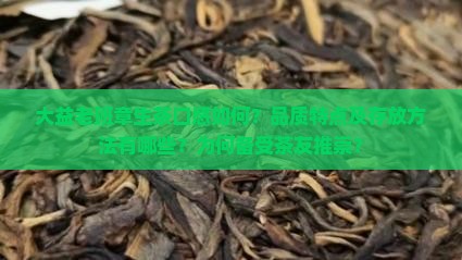 大益老班章生茶口感如何？品质特点及存放方法有哪些？为何备受茶友推崇？