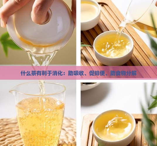 什么茶有利于消化：助吸收、促排便、助食物分解