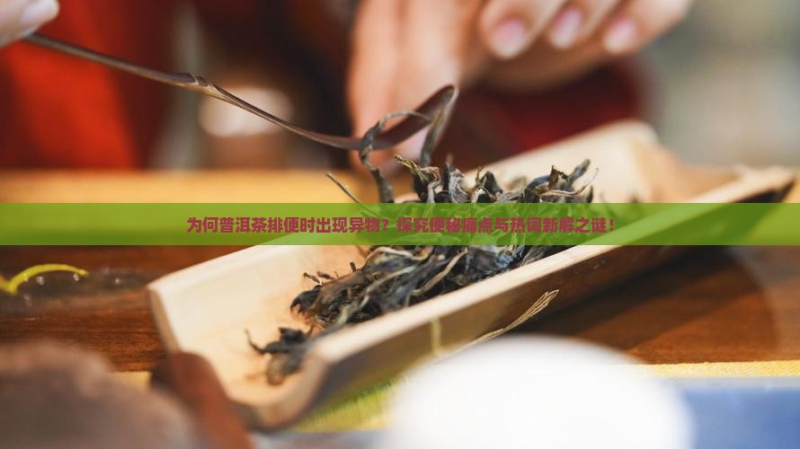 为何普洱茶排便时出现异物？探究便秘痛点与热词新解之谜！