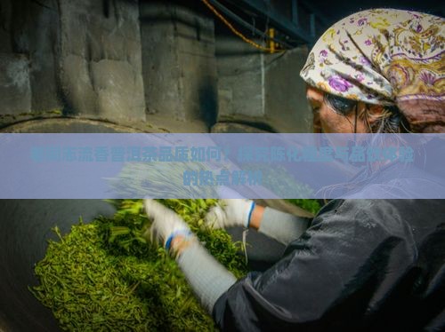 老同志流香普洱茶品质如何？探究陈化程度与品饮体验的热点解析