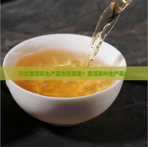 河北普洱茶生产基地在哪里？普洱茶叶生产基地