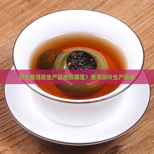 河北普洱茶生产基地在哪里？普洱茶叶生产基地