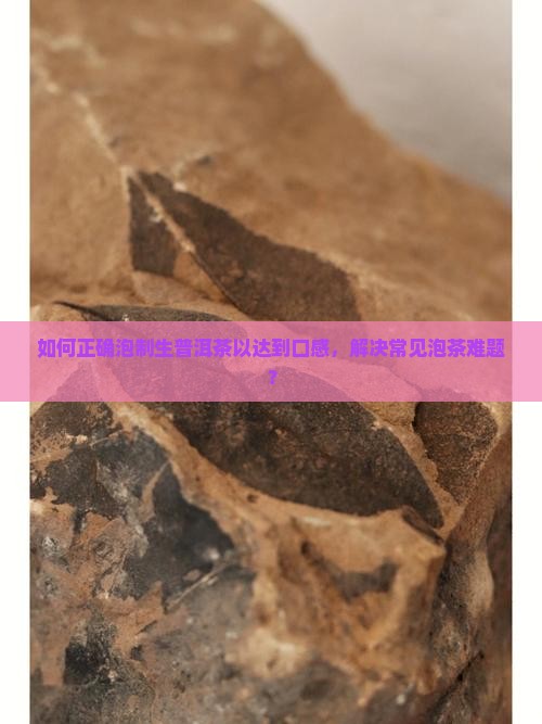 如何正确泡制生普洱茶以达到口感，解决常见泡茶难题？