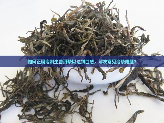 如何正确泡制生普洱茶以达到口感，解决常见泡茶难题？