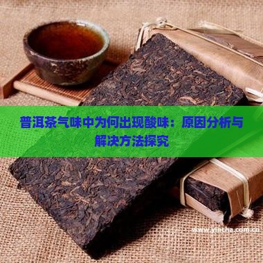 普洱茶气味中为何出现酸味：原因分析与解决方法探究